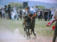 /album/galeria-de-fotos/pedro-henrique-061-jpg/